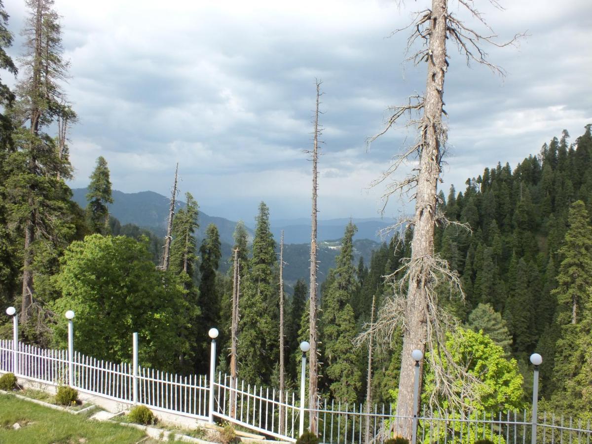 Humming Bird Resort And Executive Suites Murree Extérieur photo